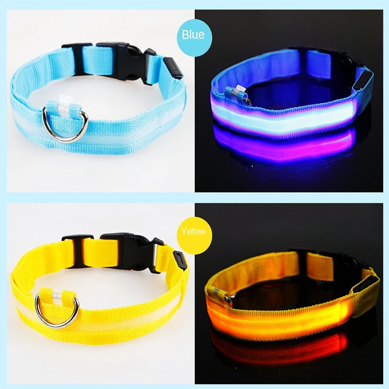 USB Rechargeable LED Dog Collar with Adjustable Anti-Lost Feature - Smarsty