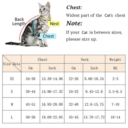 Breathable Pet Harness and Leash Set for Small Dogs and Cats - Smarsty