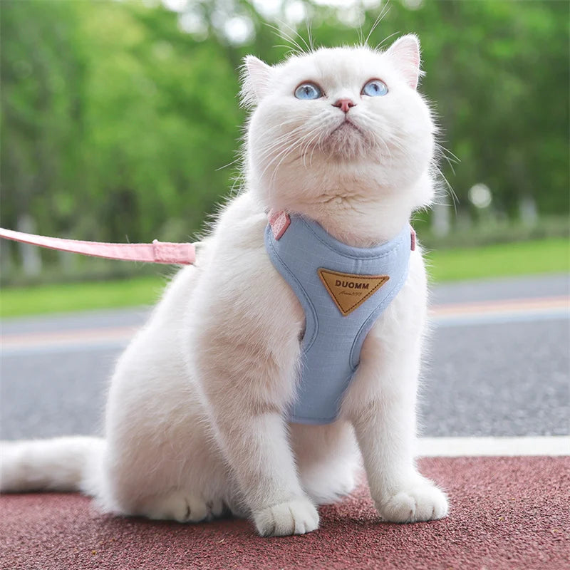 Breathable Pet Harness and Leash Set for Small Dogs and Cats - Smarsty