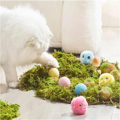 Interactive Sound Balls for Cats Plush and Soft - Smarsty