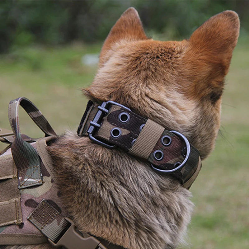 Adjustable Reflective Dog Collar for Training and Safety - Smarsty