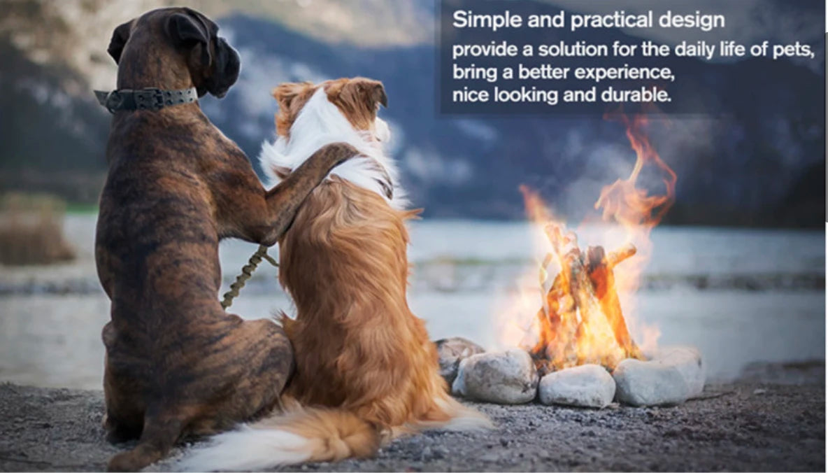 Adjustable Reflective Dog Collar for Training and Safety - Smarsty