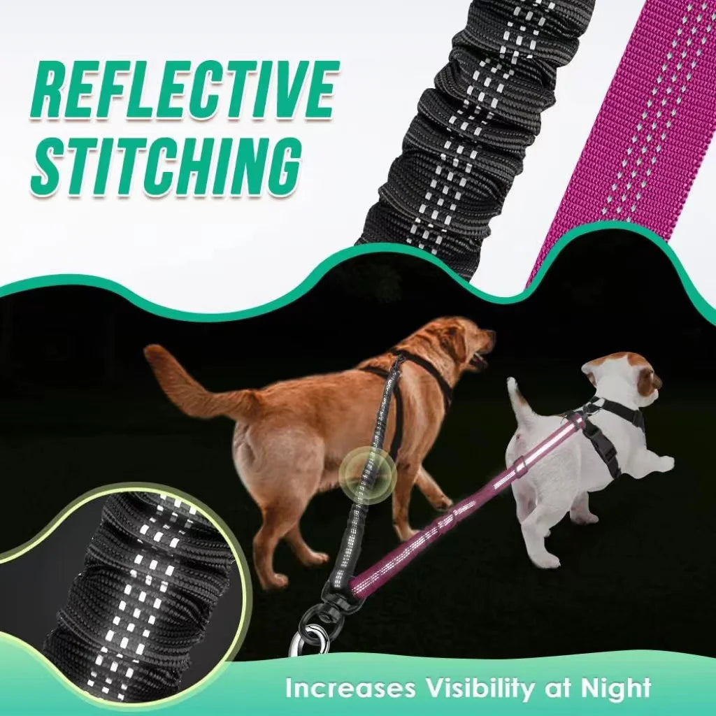 Dual Dog Leash Attachment with Shock Absorbing Bungee - Smarsty