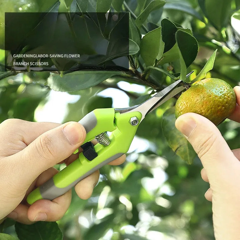 Precision Metal Pruning Shears for Bonsai and Gardening - Smarsty