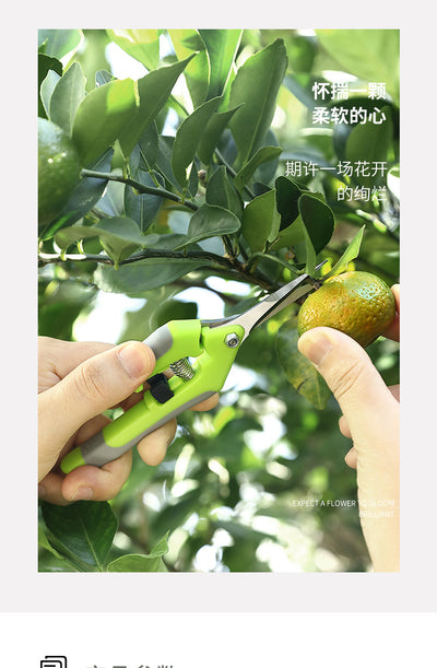 Precision Metal Pruning Shears for Bonsai and Gardening - Smarsty