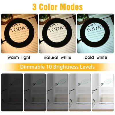 Illuminated Magnifier with 72 LED Lights and 8X/10X Magnification - Smarsty