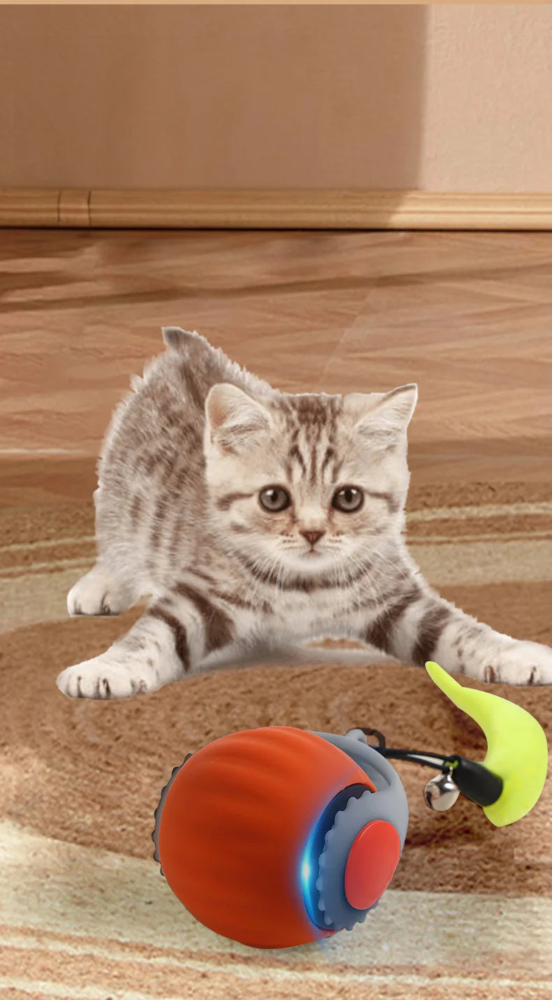Smart Interactive Cat Ball Toy with Rechargeable Tail - Smarsty