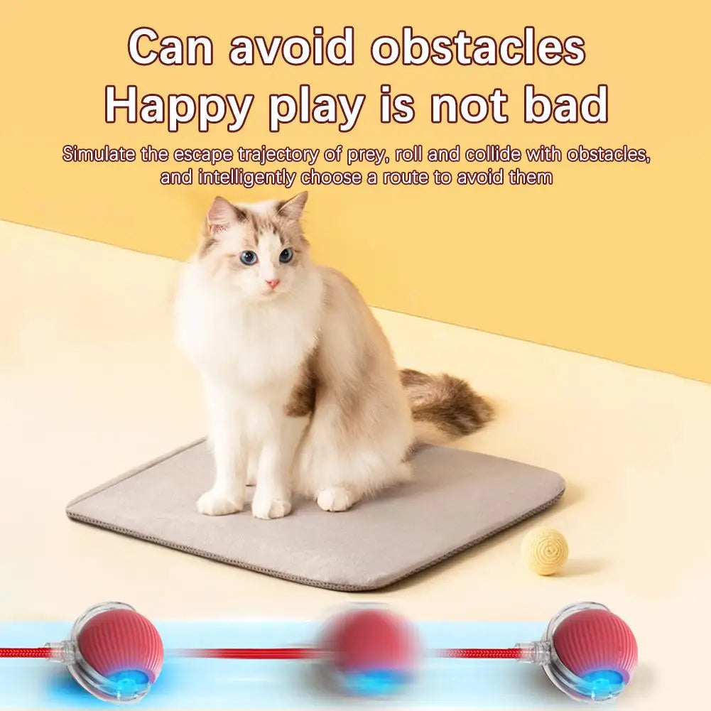 Smart Interactive Cat Ball Toy with Rechargeable Tail - Smarsty