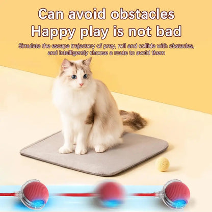 Smart Interactive Cat Ball Toy with Rechargeable Tail - Smarsty