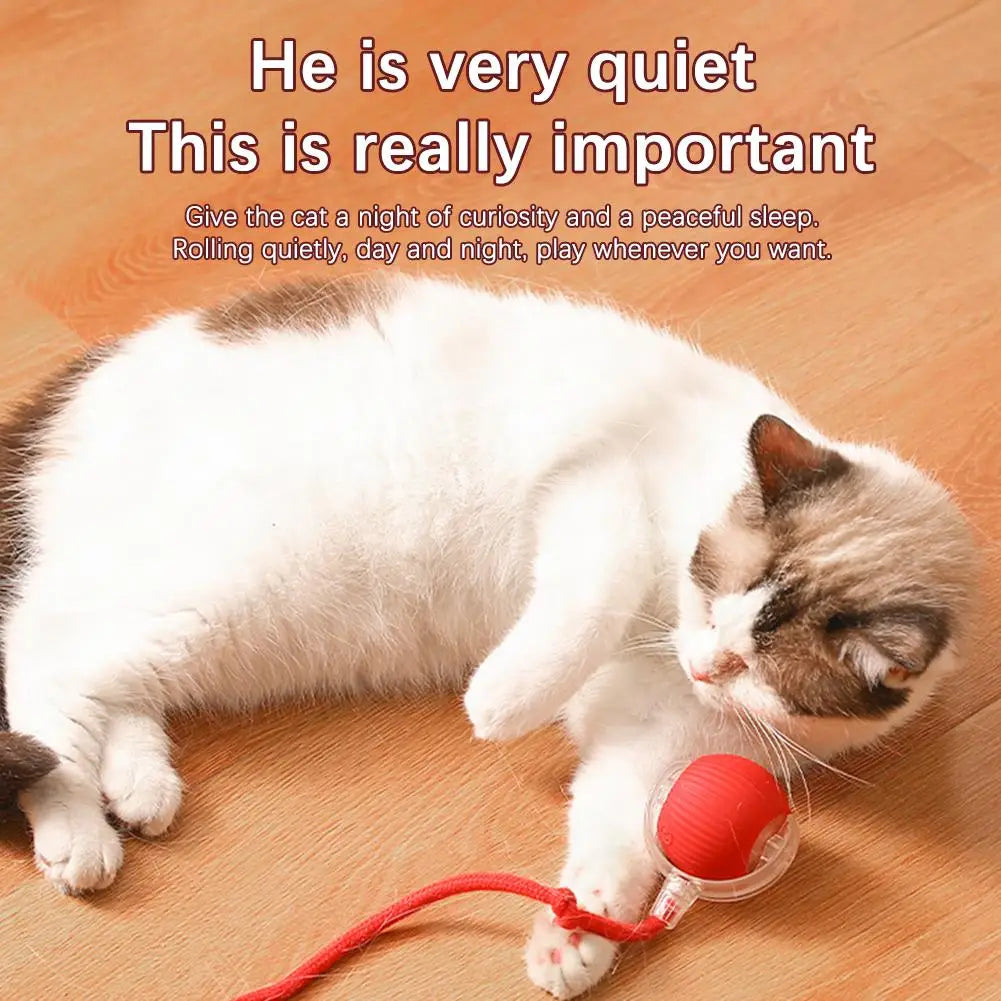 Smart Interactive Cat Ball Toy with Rechargeable Tail - Smarsty