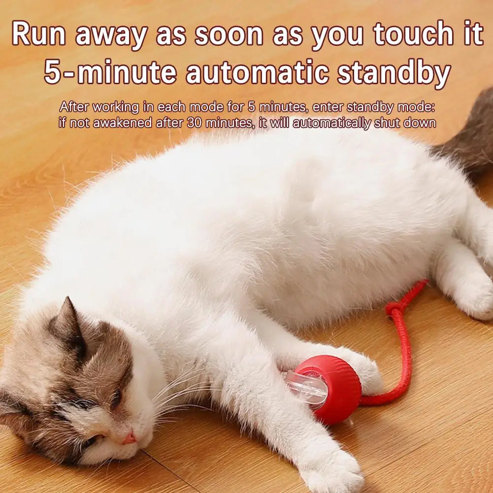 Smart Interactive Cat Ball Toy with Rechargeable Tail - Smarsty