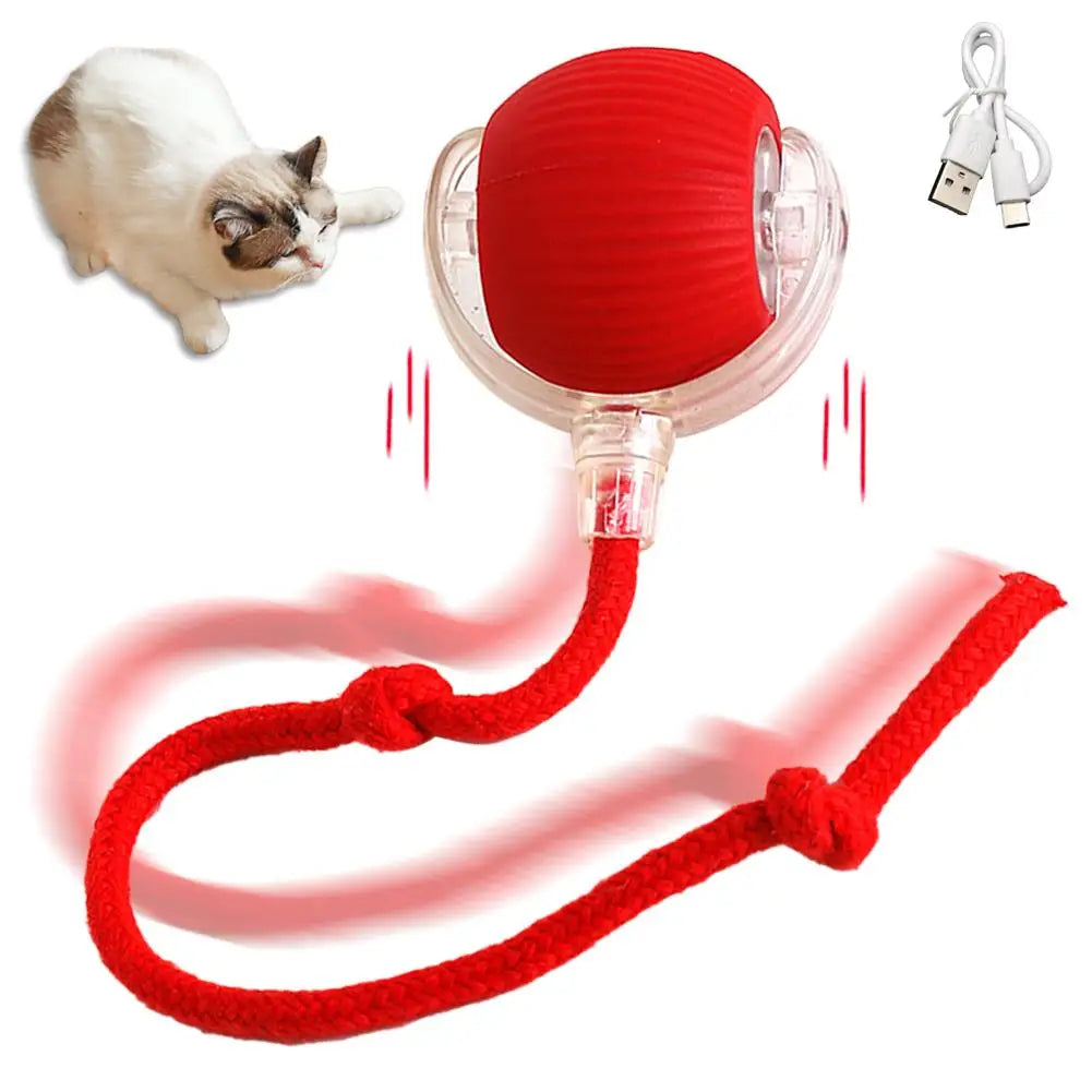 Smart Interactive Cat Ball Toy with Rechargeable Tail - Smarsty