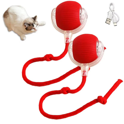 Smart Interactive Cat Ball Toy with Rechargeable Tail - Smarsty