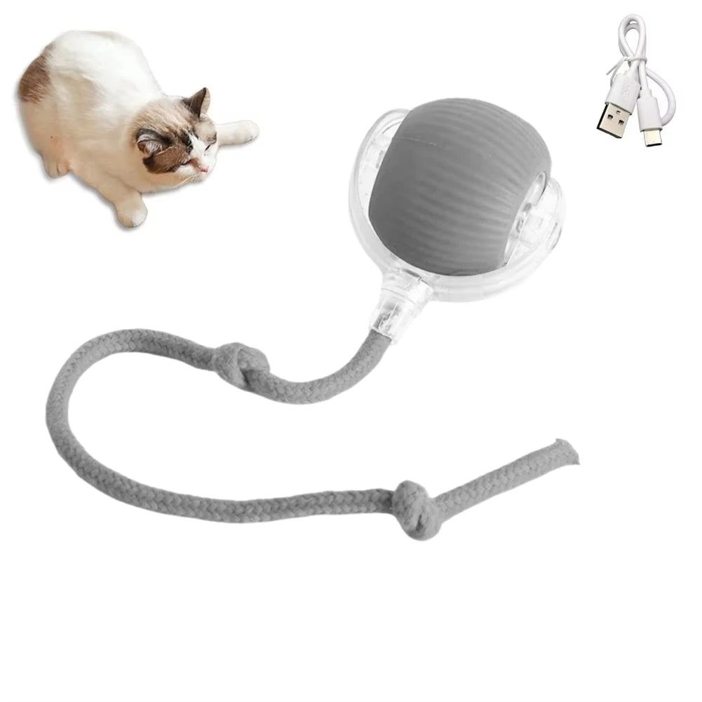 Smart Interactive Cat Ball Toy with Rechargeable Tail - Smarsty