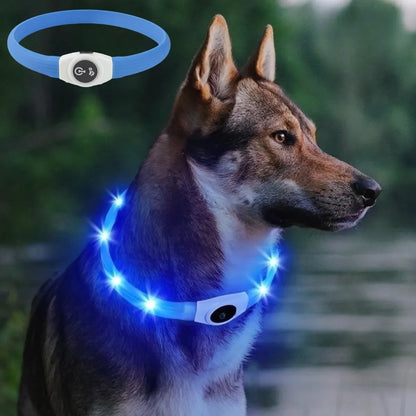 LED Luminous Dog Collar for Night Safety - Smarsty