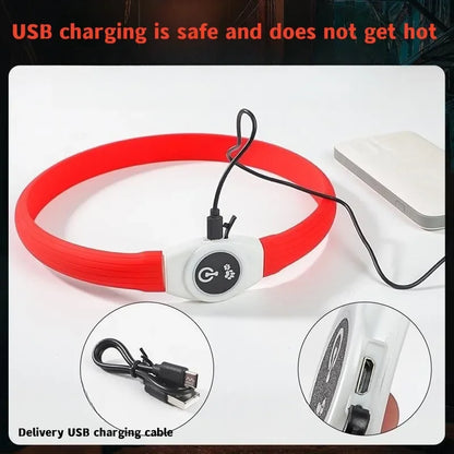 LED Luminous Dog Collar for Night Safety - Smarsty