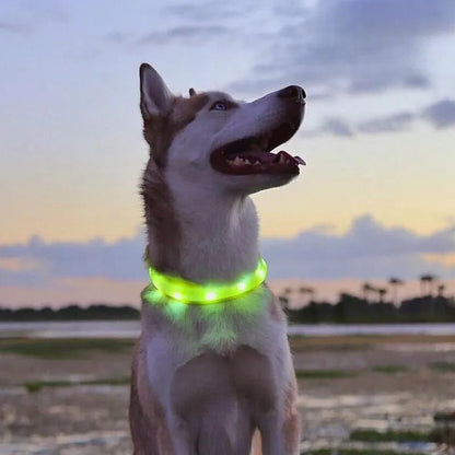 LED Luminous Dog Collar for Night Safety - Smarsty