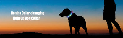 LED Luminous Dog Collar for Night Safety - Smarsty