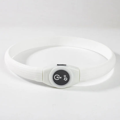 LED Luminous Dog Collar for Night Safety - Smarsty