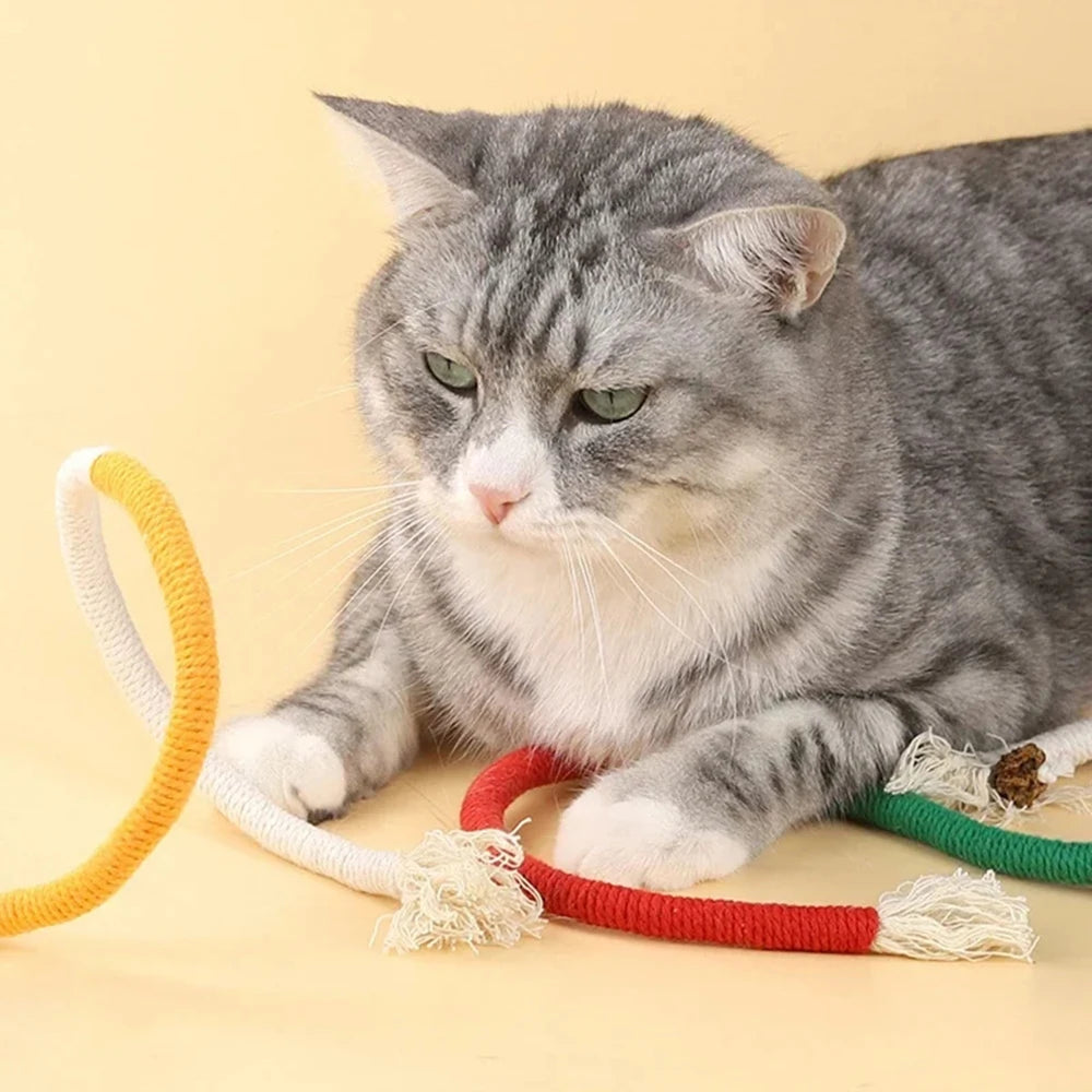 Interactive Cat Chew Rope Toy for Safe Teeth Cleaning - Smarsty