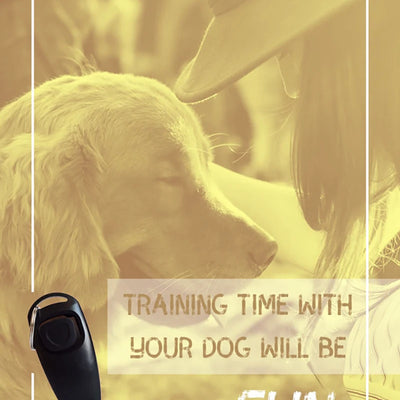 Professional Dog Whistle for Effective Bark Control - Smarsty