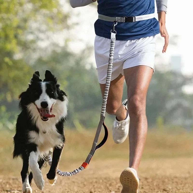 Retractable Hands Free Dog Leash for Active Pet Owners - Smarsty