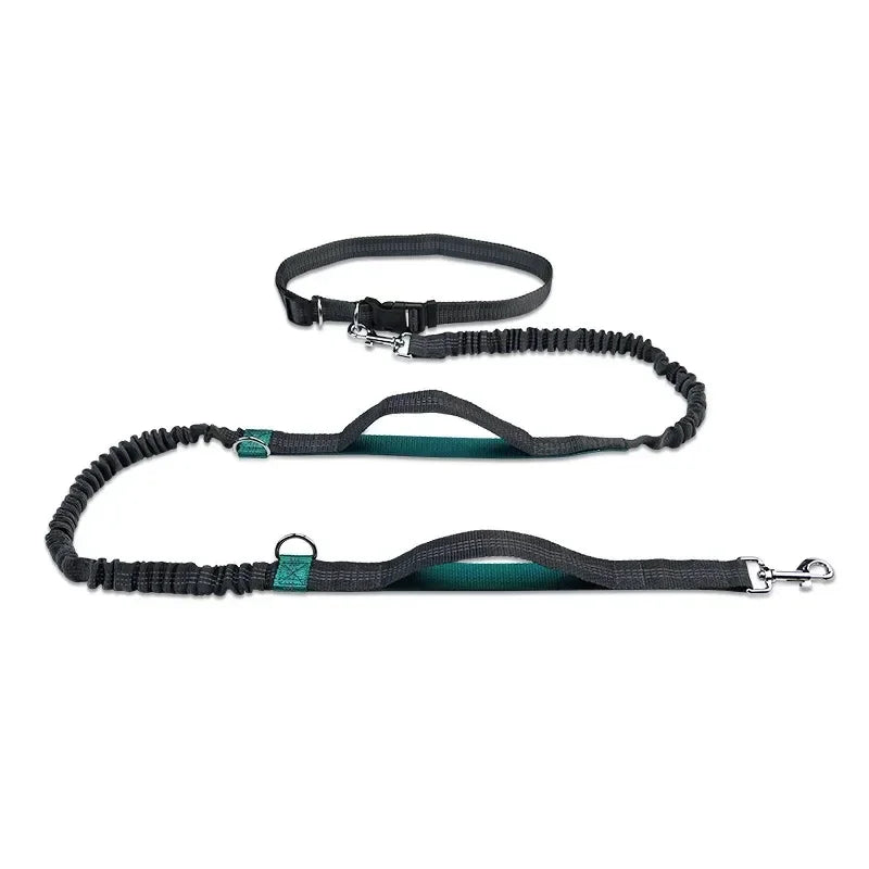 Retractable Hands Free Dog Leash for Active Pet Owners - Smarsty