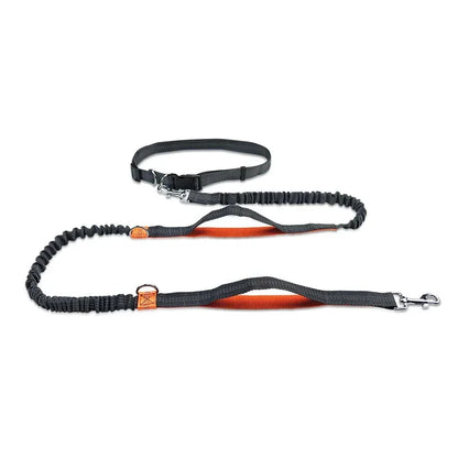 Retractable Hands Free Dog Leash for Active Pet Owners - Smarsty