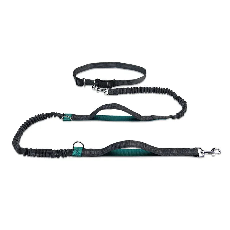 Retractable Hands Free Dog Leash for Active Pet Owners - Smarsty