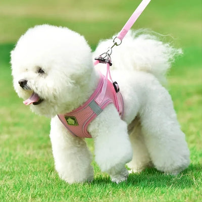 Reflective Dog Harness and Leash Set for Safety - Smarsty