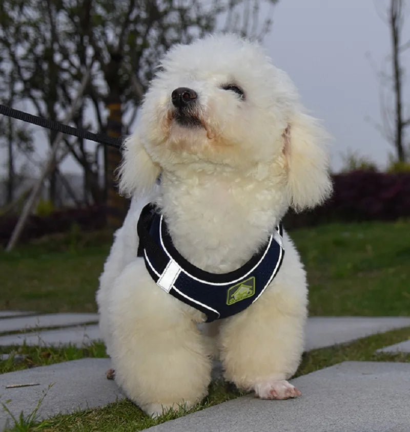 Reflective Dog Harness and Leash Set for Safety - Smarsty