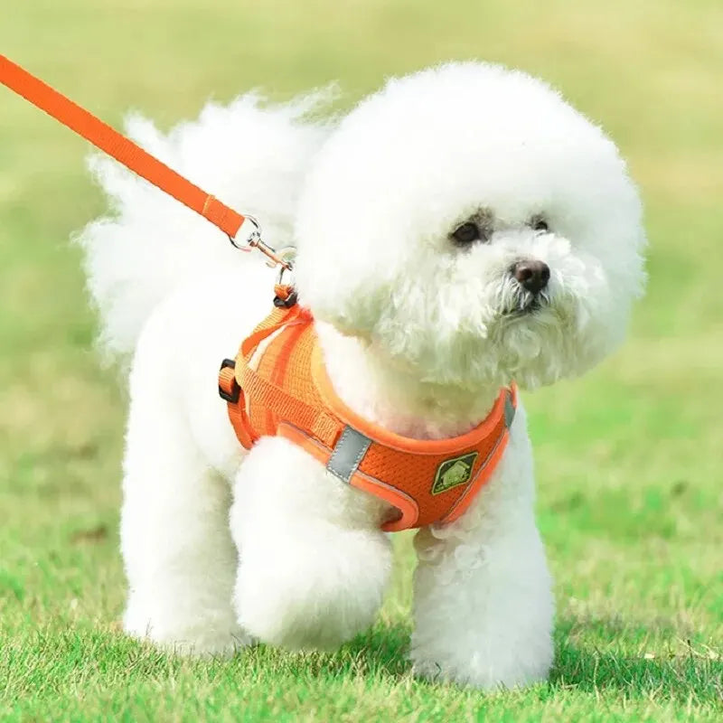 Reflective Dog Harness and Leash Set for Safety - Smarsty