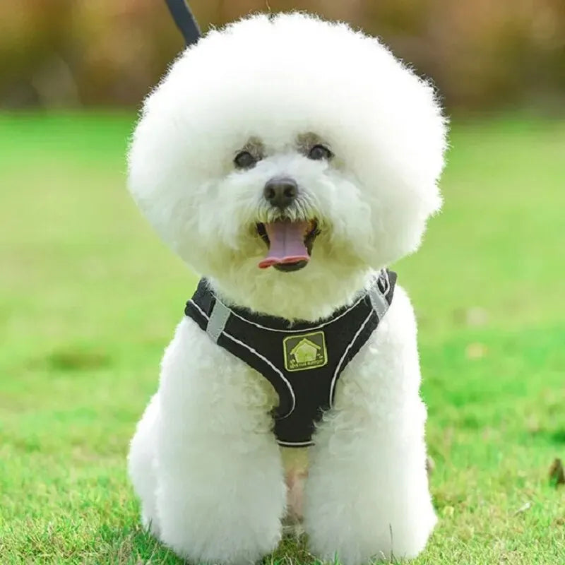Reflective Dog Harness and Leash Set for Safety - Smarsty