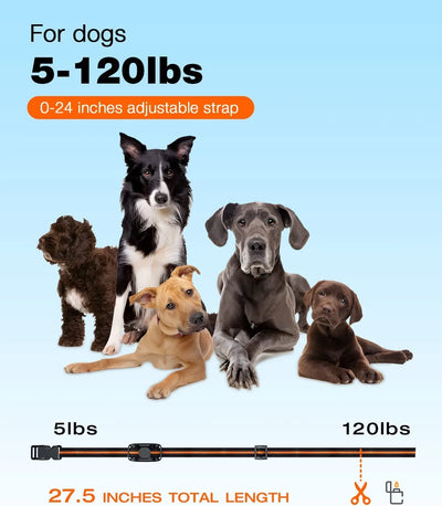 1000M Waterproof Dog Training Collar with Shock and Vibration - Smarsty