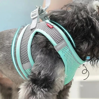 Adjustable Puppy Harness Set with Leash for Small Dogs - Smarsty
