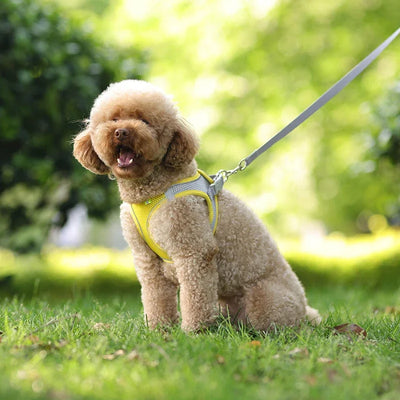 Adjustable Puppy Harness Set with Leash for Small Dogs - Smarsty