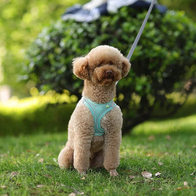Adjustable Puppy Harness Set with Leash for Small Dogs - Smarsty