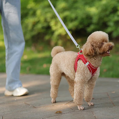 Adjustable Puppy Harness Set with Leash for Small Dogs - Smarsty