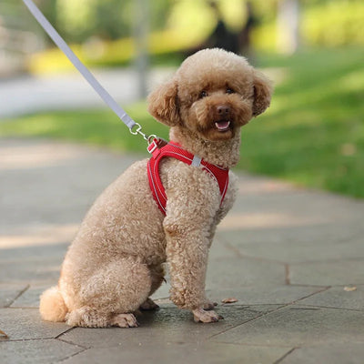 Adjustable Puppy Harness Set with Leash for Small Dogs - Smarsty