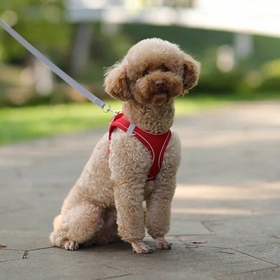 Adjustable Puppy Harness Set with Leash for Small Dogs - Smarsty