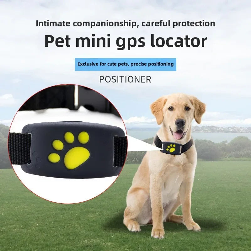 GPS Tracking Collar for Pets - Smarsty