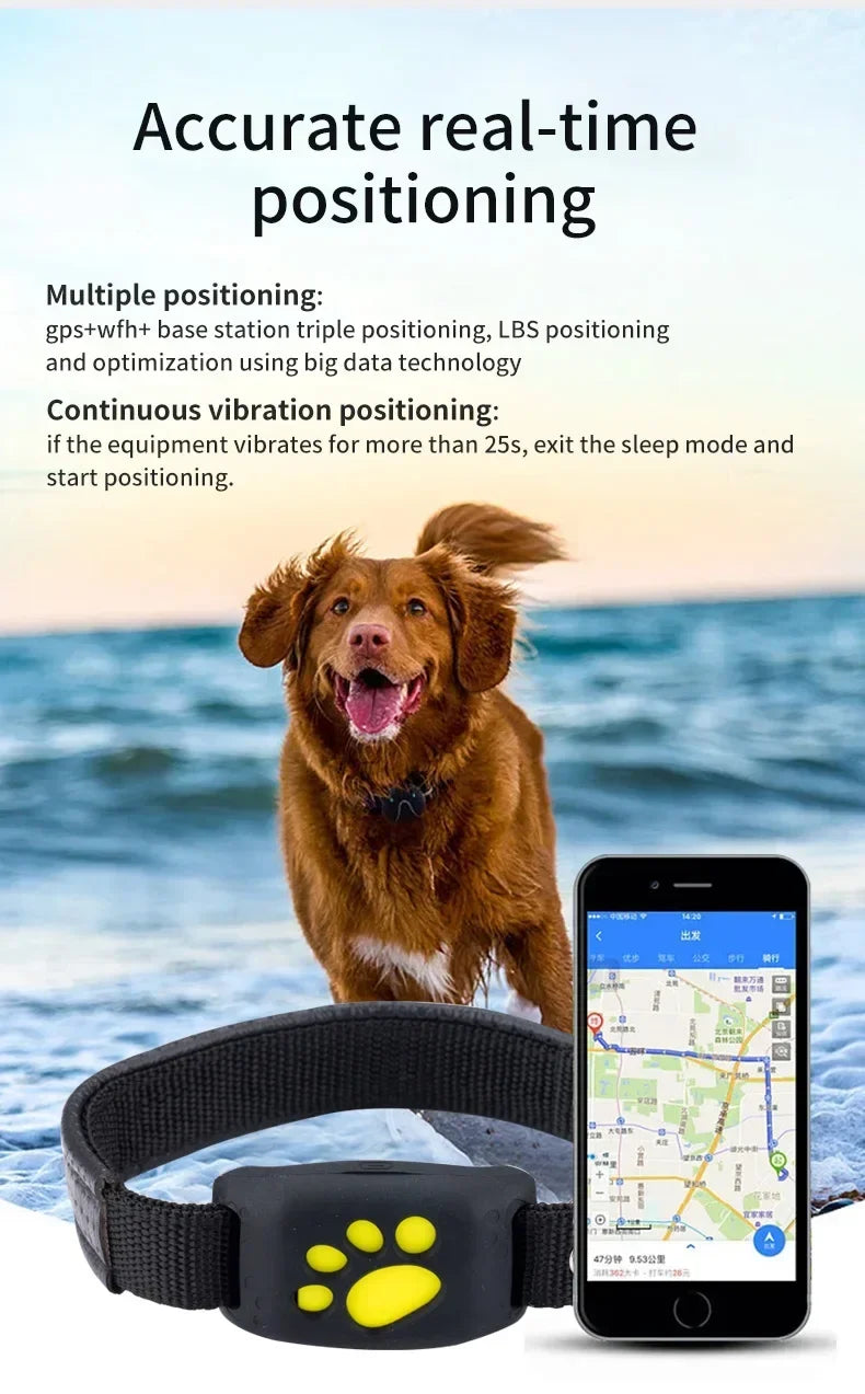 GPS Tracking Collar for Pets - Smarsty