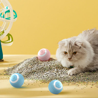 Smart Interactive Cat Ball Toy for Indoor Fun - Smarsty