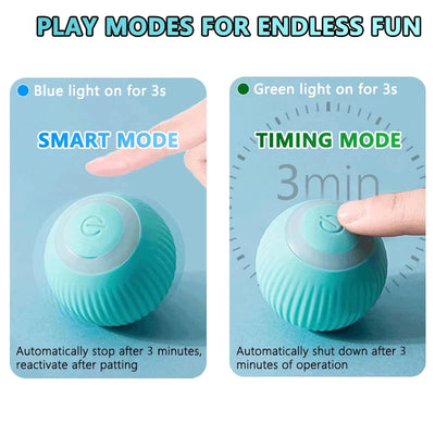 Smart Interactive Cat Ball Toy for Indoor Fun - Smarsty