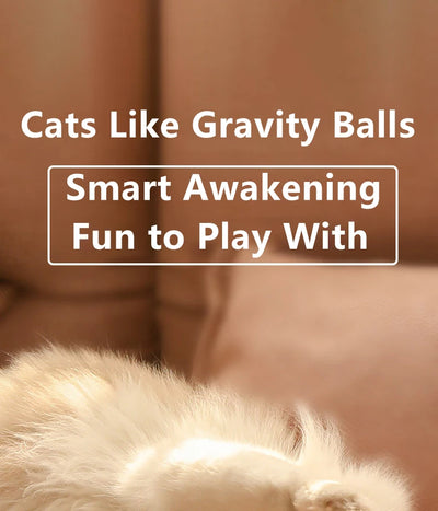 Smart Interactive Cat Ball Toy for Indoor Fun - Smarsty