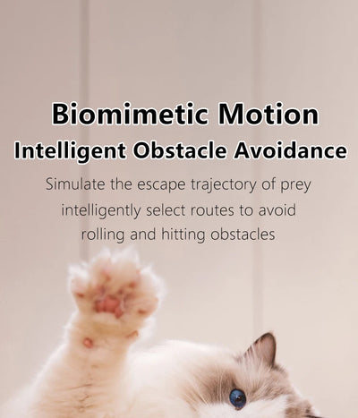 Smart Interactive Cat Ball Toy for Indoor Fun - Smarsty
