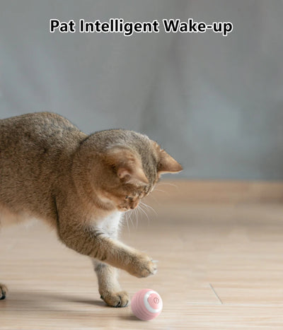 Smart Interactive Cat Ball Toy for Indoor Fun - Smarsty
