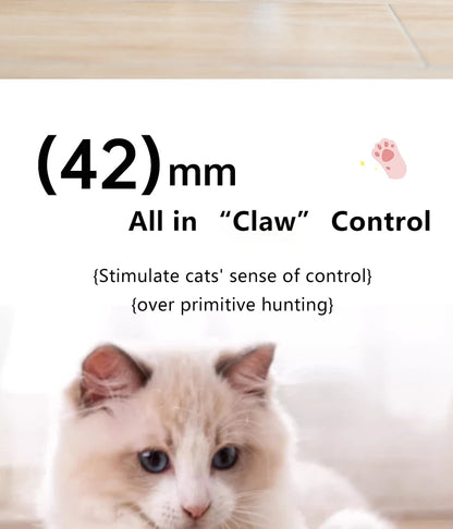 Smart Interactive Cat Ball Toy for Indoor Fun - Smarsty