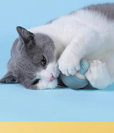 Smart Interactive Cat Ball Toy for Indoor Fun - Smarsty