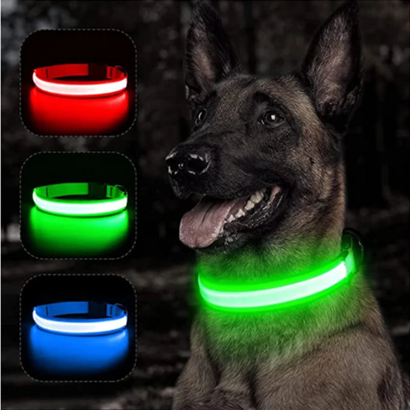 USB Rechargeable Luminous Dog Collar for Night Safety - Smarsty